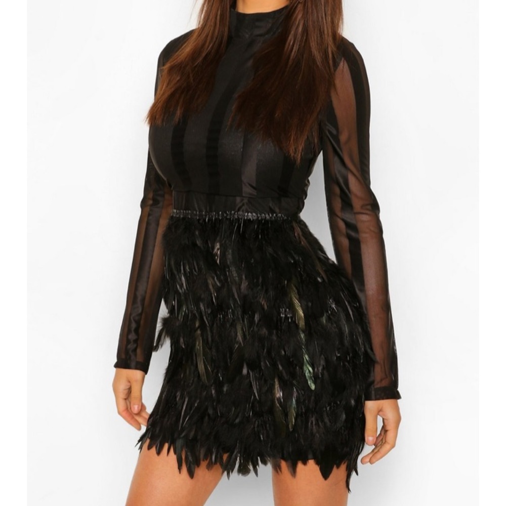 Beautiful Feather Mini Dress